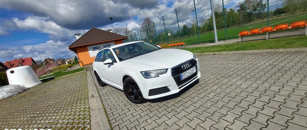 Audi A4 cena 72900 przebieg: 112000, rok produkcji 2017 z Malbork małe 277